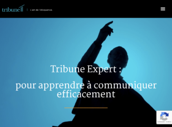 site.tribune-expert